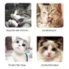 Catnip cỏ bạc hà cho mèo ống 50 ml- Cỏ mèo bạc hà loại bỏ búi lông cải thiện tiêu hoá Luna Pet 5