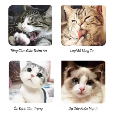 Catnip cỏ bạc hà cho mèo ống 50 ml- Cỏ mèo bạc hà loại bỏ búi lông cải thiện tiêu hoá Luna Pet 5 Catnip cỏ bạc hà cho mèo ống 50 ml- Cỏ mèo bạc hà loại bỏ búi lông cải thiện tiêu hoá Luna Pet 5