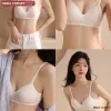 Áo Lót Không Gọng Đệm Mỏng 0,3cm Basic Mặc Hàng Ngày Êm Ái DBRA Corset AV.95 8