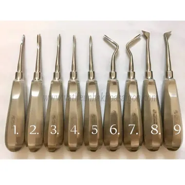 Bay nhổ răng các loại/ Nạy nhổ răng 6