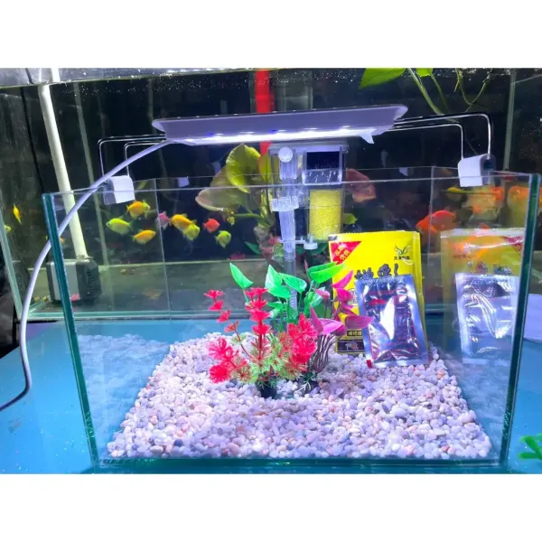 Hình ảnh sản phẩm Bể Cá Để Bàn 30x20x20 Kính Việt Nhật - Combo Đầy Đủ Giá Rẻ 135k