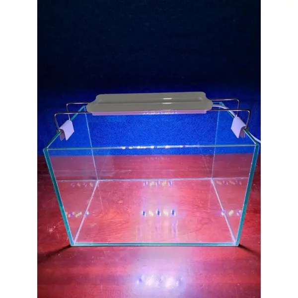 Hình ảnh sản phẩm Bể Cá Để Bàn 30x20x20 Kính Việt Nhật - Combo Đầy Đủ Giá Rẻ 135k