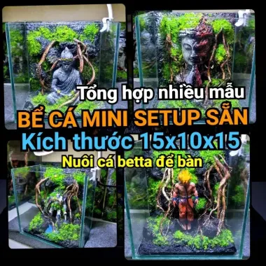 Bể Cá Mini Betta Độc Lạ - Setup Sẵn, Thả Cá Ngay - Giá Chỉ 57k! 1