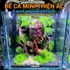 Bể Cá Mini Betta Độc Lạ - Setup Sẵn, Thả Cá Ngay - Giá Chỉ 57k!