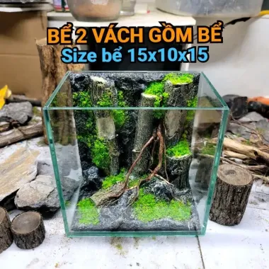 Bể Cá Mini Betta Độc Lạ - Setup Sẵn, Thả Cá Ngay - Giá Chỉ 57k! 3