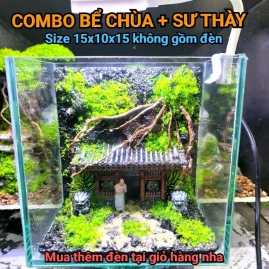 Bể Cá Mini Betta Độc Lạ - Setup Sẵn, Thả Cá Ngay - Giá Chỉ 57k! 4