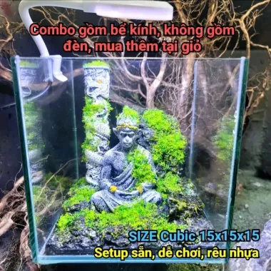 Bể Cá Mini Betta Độc Lạ - Setup Sẵn, Thả Cá Ngay - Giá Chỉ 57k! 5