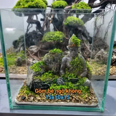 Bể Cá Mini Betta Độc Lạ - Setup Sẵn, Thả Cá Ngay - Giá Chỉ 57k! 6