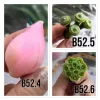 Bộ 3 Khuôn Silicon Tạo Hình Mặt Em Bé To Hồng Phát - B44 Giảm Giá 100k 4