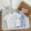 Bộ Cóc Tay Cổ Sen Bé Gái Đi Học SB1942 - Cotton Mềm Mịn Giá Chỉ 109k 3