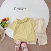 Bộ Cóc Tay Cổ Sen Bé Gái Đi Học SB1942 - Cotton Mềm Mịn Giá Chỉ 109k 6