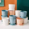 Chậu Kim Cương Cỡ To 40x30cm - Combo 5 Chậu Nhựa Trồng Cây Giá Rẻ Tặng Sỏi &amp; Đĩa Lót 5