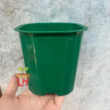 Chậu Nhựa Vuông Đen Mini Cứng - Combo 50/100 Chậu Trồng Sen Đá, Xương Rồng Giá Rẻ 85k 6 Chậu Nhựa Vuông Đen Mini Cứng - Combo 50/100 Chậu Trồng Sen Đá, Xương Rồng Giá Rẻ 85k 6
