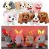 Chó Lông Xù Nằm Sang Trọng Búp Bê Gối Ngủ Size 70-130cm Hàng Nhập Loại 1 Giảm Giá 3