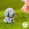 Chó Poodle Trang Trí Tiểu Cảnh Giá Rẻ - Mua Ngay 5400K FREE SHIP 3