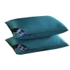 Combo 2 Gối Hiton Xanh Mềm Êm Ái - Giá Sỉ Chỉ 68K, Khuyến Mãi Từ 85K 1