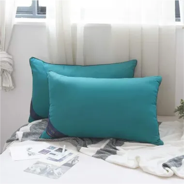 Combo 2 Gối Hiton Xanh Mềm Êm Ái - Giá Sỉ Chỉ 68K, Khuyến Mãi Từ 85K 3