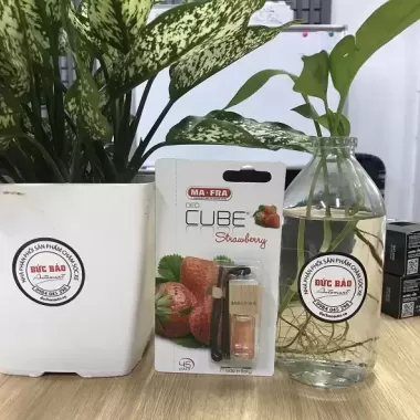 [Combo 4 Lọ] Hương Nước Hoa Treo Xe Nhập Khẩu ITALY CUBE MAFRA 10ml 4 mùi độc đáo 3