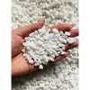 Đá Sỏi Trắng Trang Trí Hồ Cá, Chậu Cây Tết - 1kg, Giá Rẻ 9000đ 1