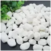 Đá Sỏi Trắng Trang Trí Hồ Cá, Chậu Cây Tết - 1kg, Giá Rẻ 9000đ 3