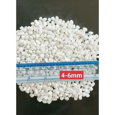 Đá Sỏi Trắng Trang Trí Hồ Cá, Chậu Cây Tết - 1kg, Giá Rẻ 9000đ 4