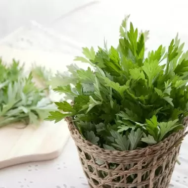 ĐAI GỐI NGẢI CỨU NÂU &amp; ĐAI GỐI NGẢI XANH CON HƯƠU -Đai Chườm Giảm Đau Khớp Gối - Túi Chườm Khớp Gối 5