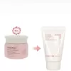 (Date 24/08/2026) Kem Dưỡng Trắng Da Nâng Tone Tức Thì Innisfree Jeju Cherry Blossom Tone Up Cream 5