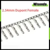 Đầu Nối Dây Cáp Dupont 2.54mm 1Pin Giá Rẻ - Set 200 Miếng Giảm Giá Cực Tốt 1