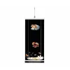 Decal Dán Máy Lọc Nước Cá Chống Thấm Giá Rẻ Chỉ 75.000đ - Chất Lượng Cao 1