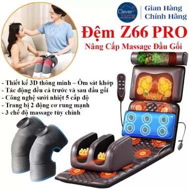 Đệm Massage Toàn Thân ZLIFE Z30 PRO Ghế Mát Xa Hồng Ngoại Xoa Bóp Giảm Đau Mỏi Quà Tặng Ông Bà Bố Mẹ 6