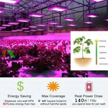 Đèn Trồng Sen Đá Xương Rồng Lc Growlights 60cm - Cải Thiện Quang Hợp &amp; Màu Cây 3
