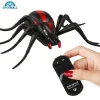 Điều khiển từ xa côn trùng sâu bướm RC giá rẻ chỉ 61050đ - Đồ chơi mới lạ cho trẻ em hoa 5