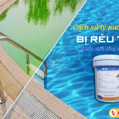 Đồng Sunfat Diệt Tảo Hồ Bơi - Xử Lý Rong Rêu Hiệu Quả Chỉ 25000đ 3 Đồng Sunfat Diệt Tảo Hồ Bơi - Xử Lý Rong Rêu Hiệu Quả Chỉ 25000đ 3