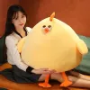 Gối Bông Gà Vàng Xinh Đón Giảm 22% - Gà Nhàu Mèo Dễ Thương Quà Tặng Yêu
