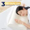 Gỏi Cống Thái Học Giảm Giá Khủng - Mua Ngay Chỉ 70224 VND