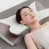 Gỏi Cống Thái Học Giảm Giá Khủng - Mua Ngay Chỉ 70224 VND 6