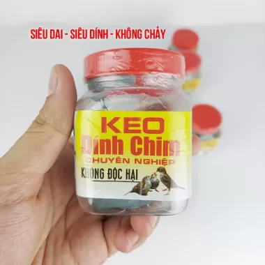 Keo Bẫy Chim Sẻ, Cu Gáy, Chào Mào 1