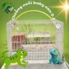 Lồng Chim Rồng Nam Mỹ Chuột Hamster Giá Cực Sốc - Giảm 37% Chỉ Còn 290.000đ 1