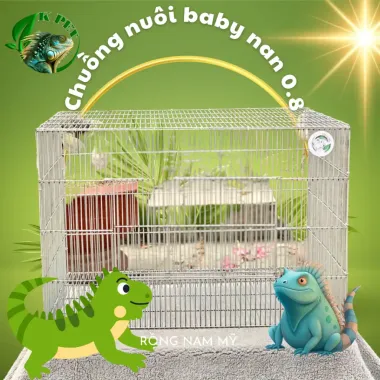 Lồng Chim Rồng Nam Mỹ Chuột Hamster Giá Cực Sốc - Giảm 37% Chỉ Còn 290.000đ 1 Lồng Chim Rồng Nam Mỹ Chuột Hamster Giá Cực Sốc - Giảm 37% Chỉ Còn 290.000đ 1