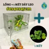 Lồng Chim Rồng Nam Mỹ Chuột Hamster Giá Cực Sốc - Giảm 37% Chỉ Còn 290.000đ