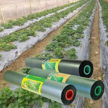 Mang Nilong Phủ Trồng Rau Ăn Lá Chống Sâu Bệnh 1.4m*10m 2.4m*10m Giá Tốt 45.000đ 4