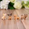 Mô Hình Chó Con Cute Trang Trí Tiểu Cảnh Terrarium Móc Khóa DIY - Combo 16 Puppy Giá Rẻ 150k 4