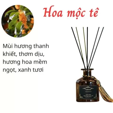 Nước Hoa Thơm Phòng Lọ Khuếch Tán Tinh Dầu Để Phòng Thiên Nhiên Thơm Phòng Ngủ Sang Trọng 50ML KT11 5