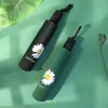 Ô Che Mưa Nắng Tự Động 4 Lớp Chống Tia UV - Hoa Cúc - Tặng Mẹ, Bạn Gái - Giá 139k 6