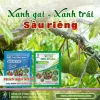 Phân bón lá Sitto Mix Combi V kẽm chính hãng Thái Lan 100g giá rẻ chỉ 85k 4