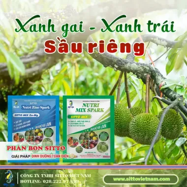 Phân bón lá Sitto Mix Combi V kẽm chính hãng Thái Lan 100g giá rẻ chỉ 85k 4