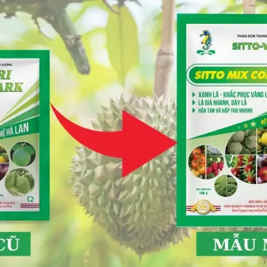 Phân bón lá Sitto Mix Combi V kẽm chính hãng Thái Lan 100g giá rẻ chỉ 85k 5