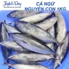 Rẻo cá ngừ 500gr - Thiên Ân Phát - Hạn 12 tháng cấp đông - Ship hỏa tốc Hà Nội 3