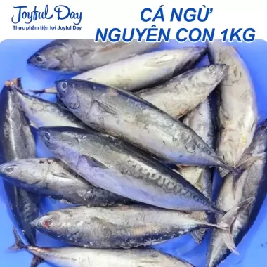Rẻo cá ngừ 500gr - Thiên Ân Phát - Hạn 12 tháng cấp đông - Ship hỏa tốc Hà Nội 3