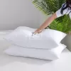 Ruột Gối ABEDDING Kháng Khuẩn Bông Lụa Deep Sleep kháng khuẩn trống Xẹp Lún Thoáng Khí Hàng Cao Cấp loại 1 6